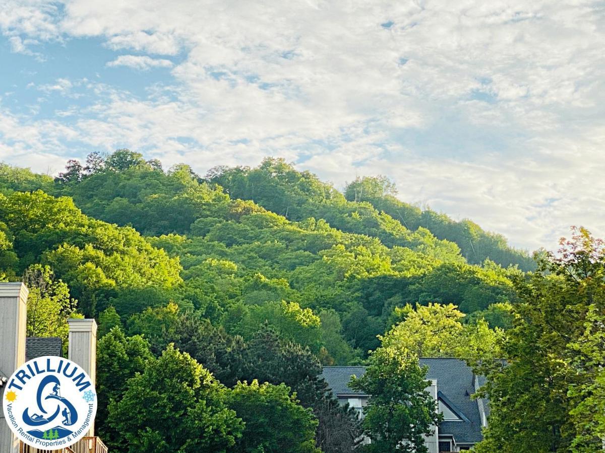 Cozy Studio Loft With 2 Baths Next To Slopes Blue Mountains Zewnętrze zdjęcie