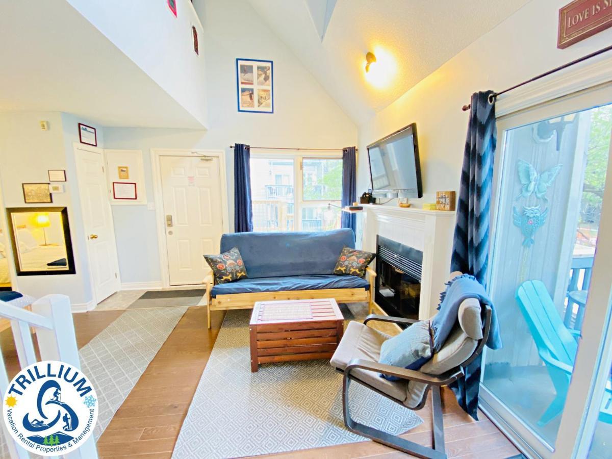 Cozy Studio Loft With 2 Baths Next To Slopes Blue Mountains Zewnętrze zdjęcie