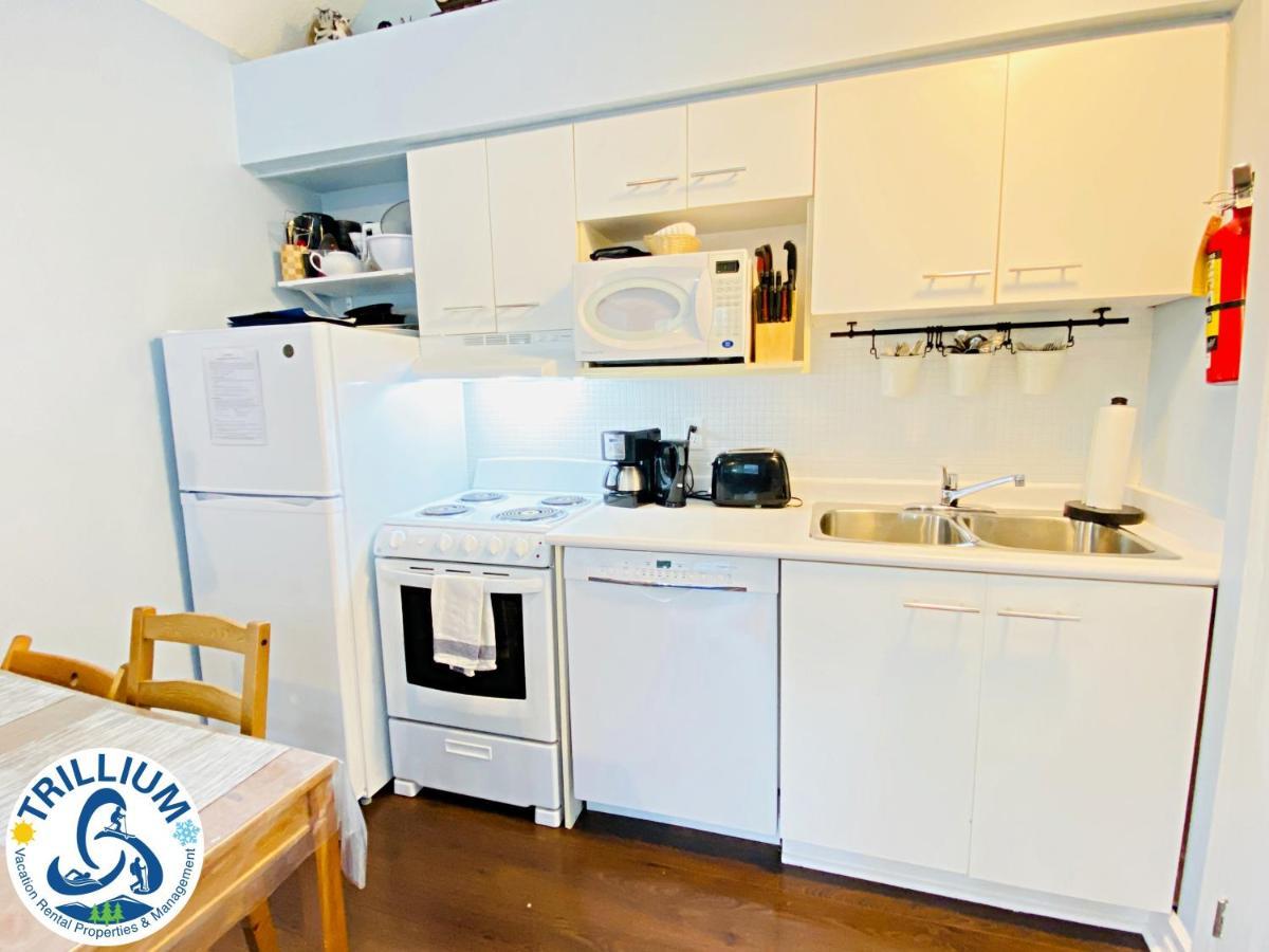 Cozy Studio Loft With 2 Baths Next To Slopes Blue Mountains Zewnętrze zdjęcie